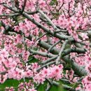 은혜동산 이미지