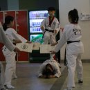 태권도삼일체육관 이미지