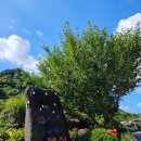 잠자리펜션민박 | 산청독채펜션 지리산 자락의 힐링 숙소 자락애펜션 이용 후기