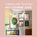 닥터자바스