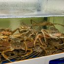 하이벳수산 이미지