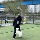 (주)세화조경 | 2026_04_03. 4월이내요
