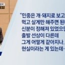 민중은 개돼지다 이미지