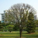 광주시청 이미지