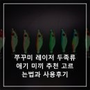 미끼 | 쭈꾸미 레이저 두족류 애기 미끼 추천 고르는법과 사용후기