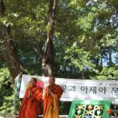 현대식물원