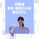 지수한의원 Daum카페