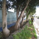 남원읍-5 이미지