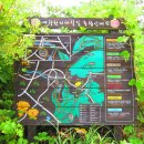 예향천리마실길 5코스 양고살재길 티스토리