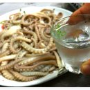 무안세발낙지 이미지