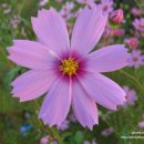 K.H.행정사사무소 이미지