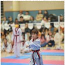 스타태권도장 이미지