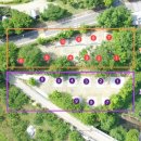 도림사 오토캠핑장 이미지