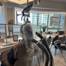 송파그랜드약국 | 【 프롬어스헤어 석촌호수점】잠실미용실 추천, 윤기 살아나는 모발클리닉 리얼후기 by 권수현 원장님