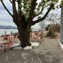 브이오디에이(VODA) 이미지