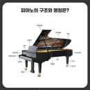 피아노숲피아노교습소 이미지