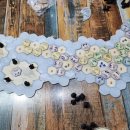 대구 애니멀 옥션 이미지