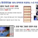 아이엠보보 이미지