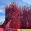 풍차랑 허브랑 이미지