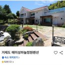 매미성 하늘정원 네이버블로그