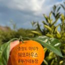 고하농장 이미지