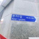 새로미국수 이미지