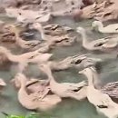 억주농장 이미지