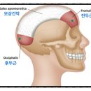 양천구보톡스 이마 주름을 깔끔하게 펼 수 있을까?