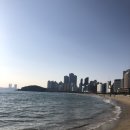 부산 여행 2편 🌊