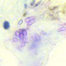 성지동물병원 이미지