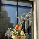 더리시안 이미지