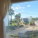 제주애월당귤 이미지