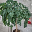 인천가정법원 이미지