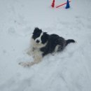 수림밸리펜션 이미지