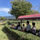 양산 황산공원 캠프닉, 미니기차, 모래놀이, 황코스모스: 부산 근교 아이랑