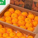 구름농장 이미지