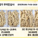 우리인삼사 - 영주시 | 우리인삼사