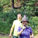 산울림 이미지