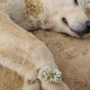 루이농장 이미지