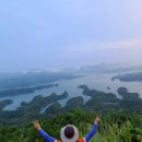 게으른 악어 이미지