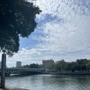 예술빨래방 이미지