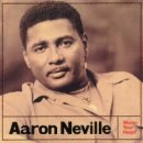 Aaron Neville - It Feels Like Rain 이미지