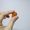 풍산휘트니스 이미지