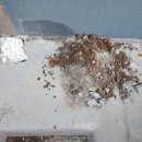 아이러브약국 이미지