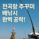전곡항 공원 | 전곡항 주꾸미 배낚시 시즌 완벽 가이드 (2025년 최신)