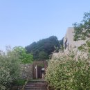 무주포레스트 이미지