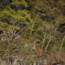 n번째 방문 경주 산내캠핑일기 강풍주의보일땐 절대 캠핑 금지