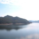 청남대 진입로 이미지