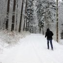 대인한의원 이미지