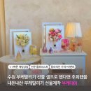태장로769번길-L | 수원 부케 말리기 선물 셀프로 했다면 후회했을 내돈내산 부케말리기 가성비 업체 부케데이 가격 퀄리티